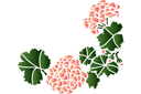 Róg hortensji - szablony z kwiatami ogrodowymi i polnymi