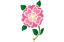 Dzika róża 05a - szablony z kwiatami ogrodowymi i polnymi