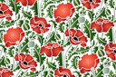 Makowa tapeta 39 - szablony z kwiatami ogrodowymi i polnymi