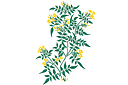 Jaśmin - szablony z kwiatami ogrodowymi i polnymi