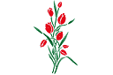 Bukiet tulipanów - szablony z kwiatami ogrodowymi i polnymi