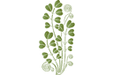 Łodygi i liście 9 - szablony z liśćmi i gałęziami