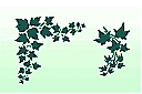 Róg bluszczu - szablony z liśćmi i gałęziami
