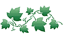 Wielki bluszcz - szablony z liśćmi i gałęziami