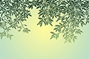 Wierzbowy bordiur - szablony z liśćmi i gałęziami