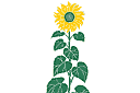 Słonecznik - szablony z rzeczami ogrodowymi