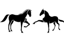 Dwa konie 5b - szablony ze zwierzętami