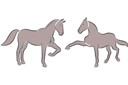 Dwa konie 5c - szablony ze zwierzętami