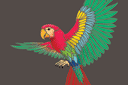 Latająca papuga - szablony z tropikalnymi zwierzętami i roślinami