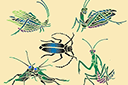 Pięć owadów - szablony z motylami i ważkami