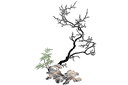 Drzewo na skale - szablony z drzewami i krzakami