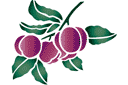 Gałązka Silvy 2 - szablony z owocami i jagodami