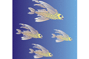Latająca ryba - szablony z fokusami