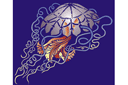Duża meduza - szablony z fokusami