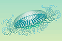 Duża meduza 3 - szablony z fokusami
