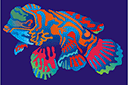 Ryba mandarynka - szablony ze zwierzętami