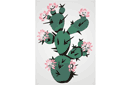 Kwitnący kaktus - szablony latynoamerykańskie