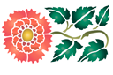 Chryzantema chińska A - szablony z kwiatami ogrodowymi i polnymi