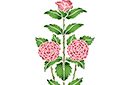 Wysoka róża - szablony z kwiatami ogrodowymi i polnymi